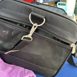 small dog black carrier case