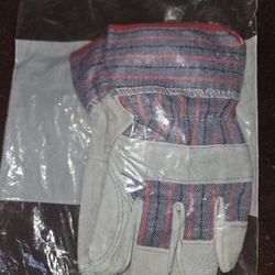 Brand New Gloves
