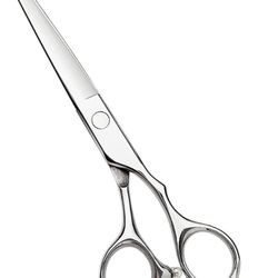Hair Cutting Scissors | 6.5 Inch