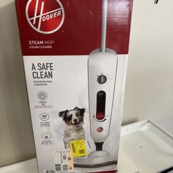 Steam mop