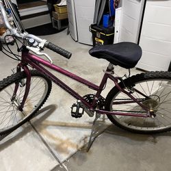 Schwinn frontier bike. 16 inch frame. 