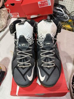 Nike LeBrons Size 11