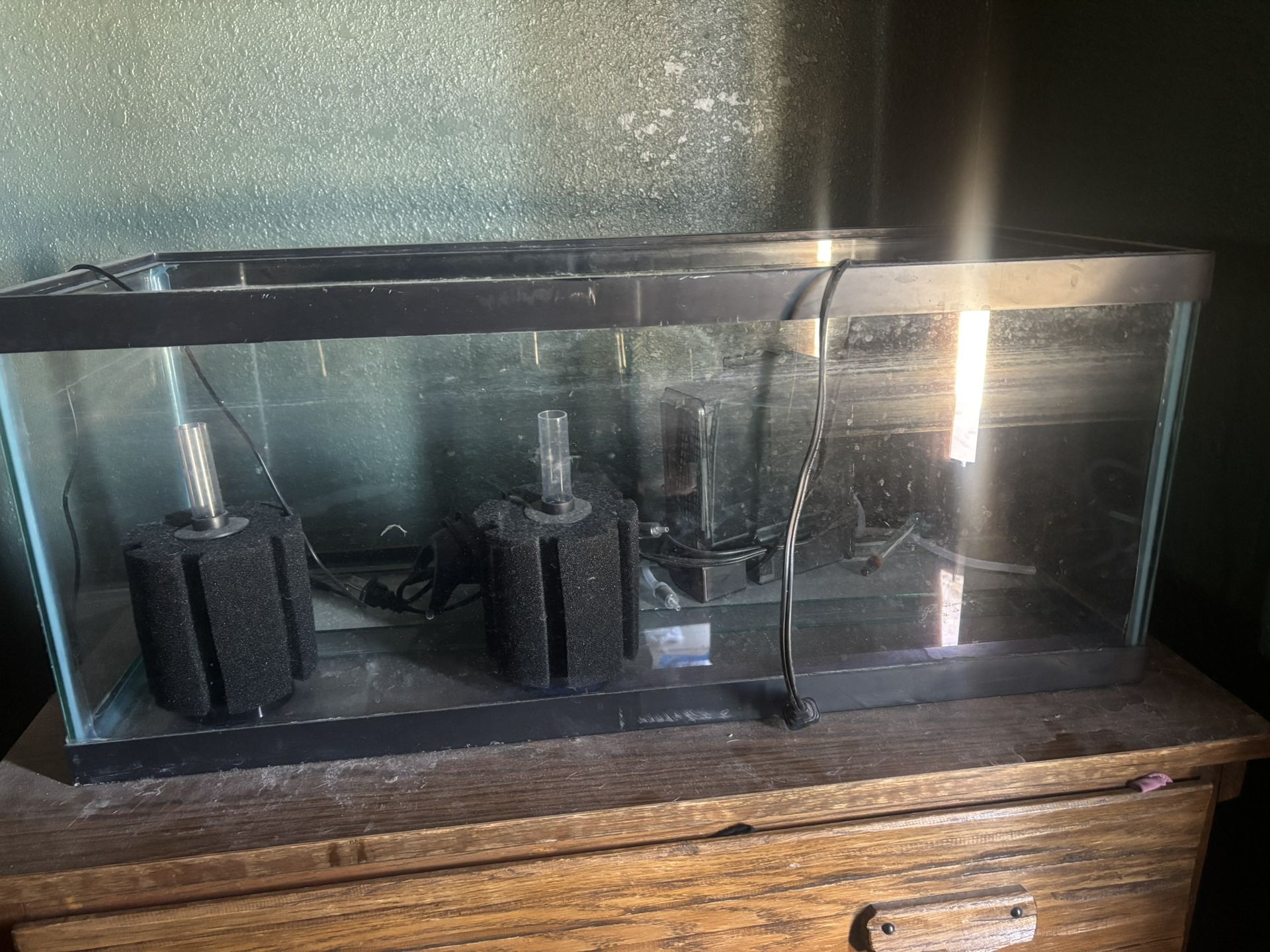 20 Gallon Fish Tank