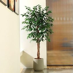 NEW IN BOX - 5ft Artificial Ficus Tree with Natural Wood Trunk, Silk Fake Ficus Tree in Plastic Nursery Pot

