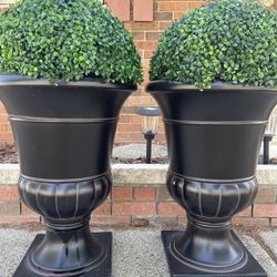 Very Beautiful Gorgeous Two Plant With The Vase