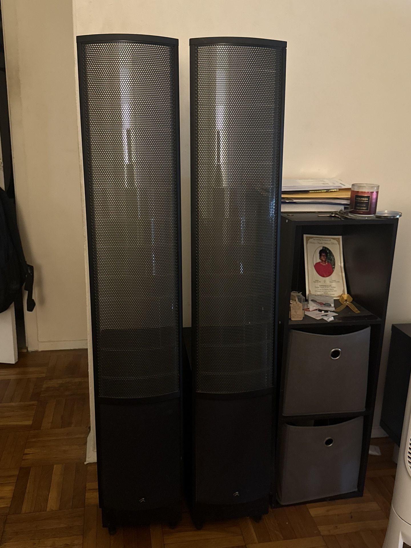 Martin Logan ESL