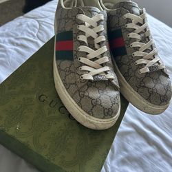 Gucci Size 11