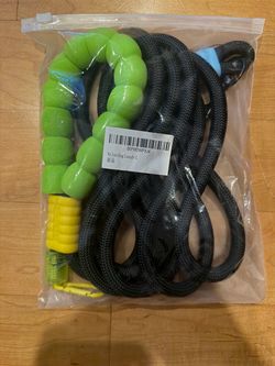 9.84FT Nylon Dog Leash(L)