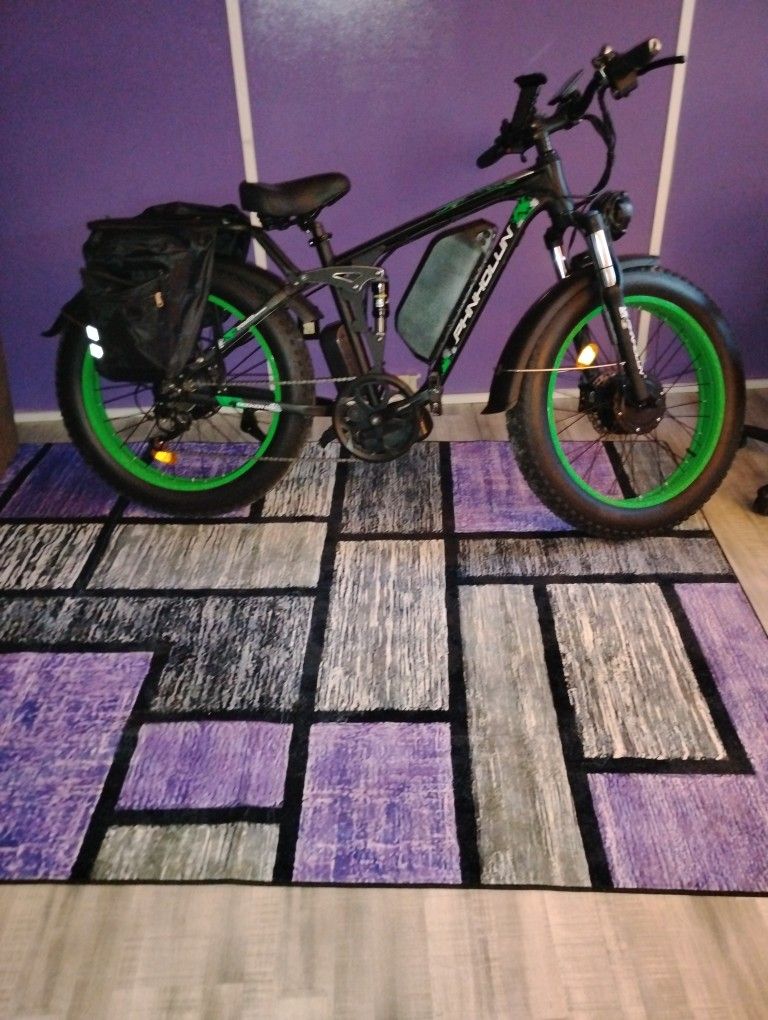 E-BIKE PHHHOLUN SEEKER GREAT SHAPE