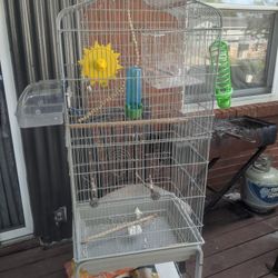Bird Cage