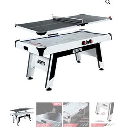 Air Hockey & Ping Pong Table