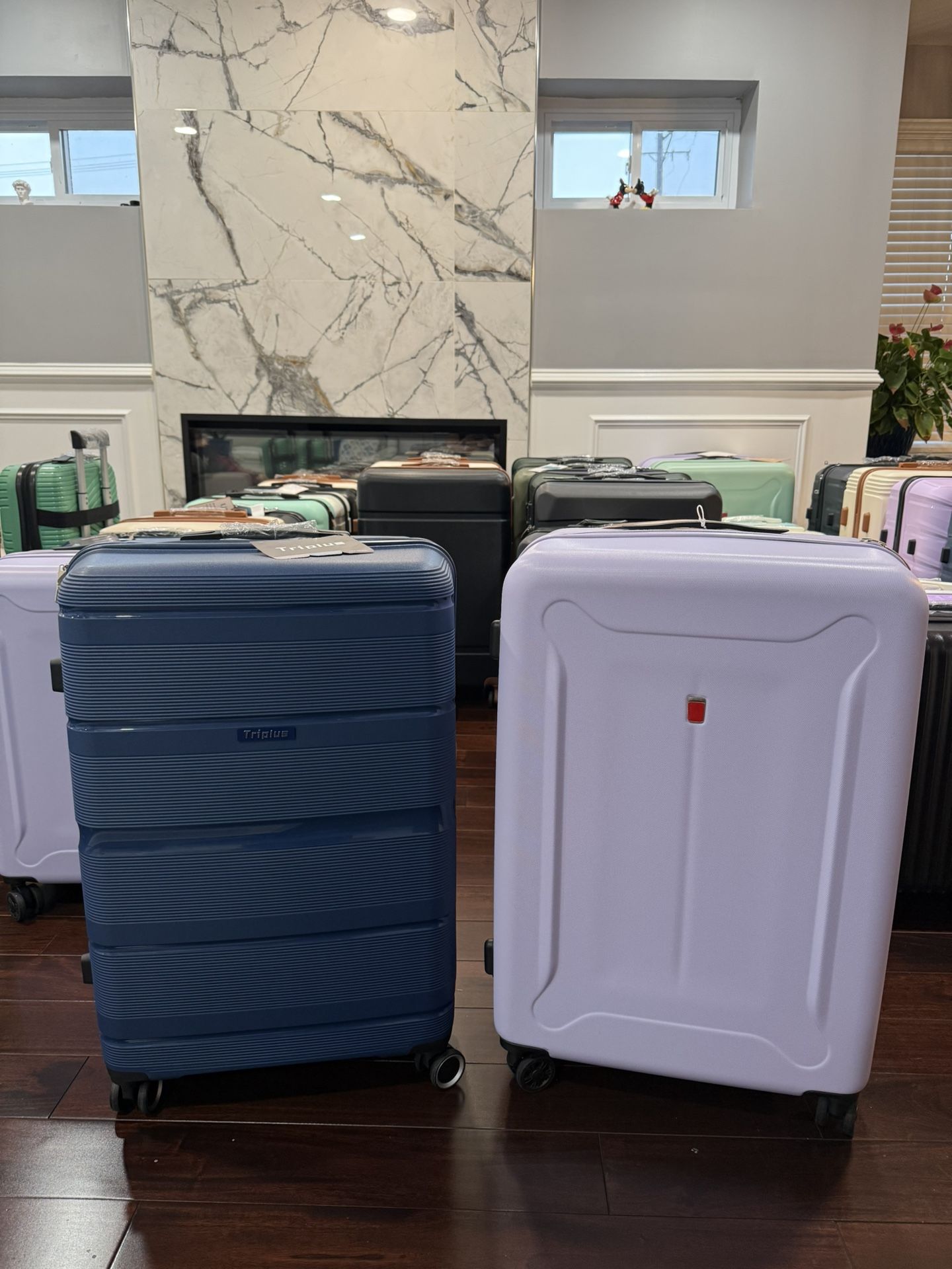 Large Checked Luggage