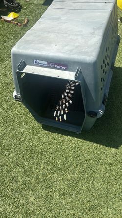 Dog crate