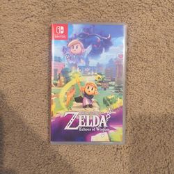 The legend of Zelda echoes of wisdom which one