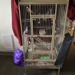 Bird/cage