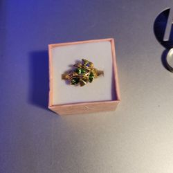 Costume Jewelery  Ring !!