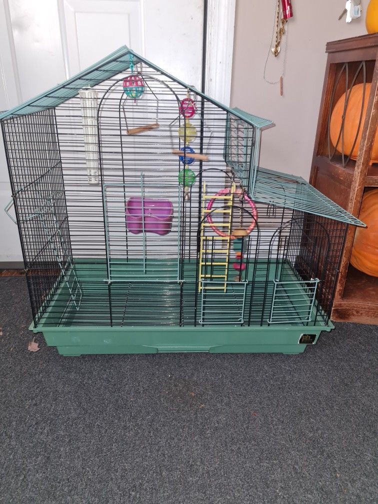Bird Cage