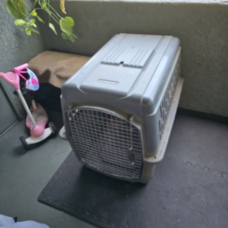 Dog Crate