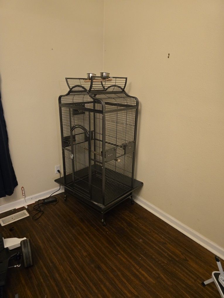 Bird Cage