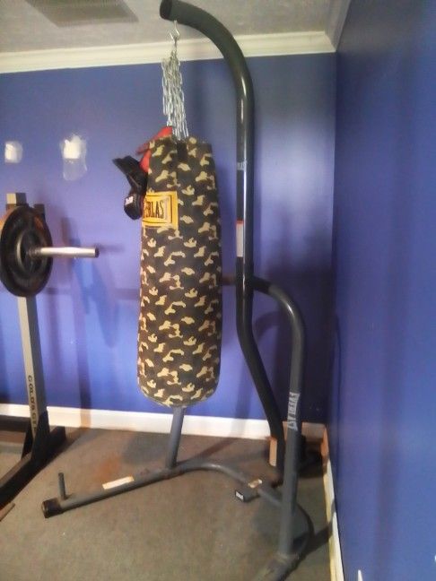Punching Bag W Stand