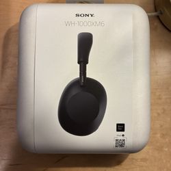Sony - WH-1000XM6