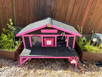 Outside cat house