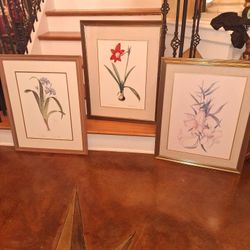 SET OF 3 FRAMED FLOWER LITHOS