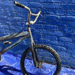 20’ Smeared Custom Bicycle 