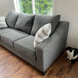 Like-New Grey Sofa, Gray Couch – Lucy Splash Charcoal
