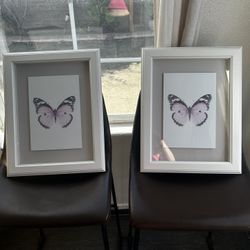 Framed Art Butterfly 