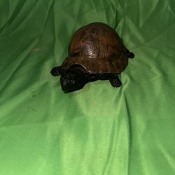 Antique Style Tortoise