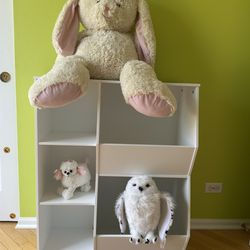 Storage Organizer And Bookcase