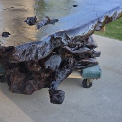 Redwood Burl Coffee Table