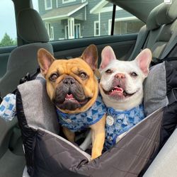 Luxury Dog Car Seat for Pets - up to 30lbs-Washable, Travel Carrier with Adjustable Straps and storage pockets, unzips easily into bed