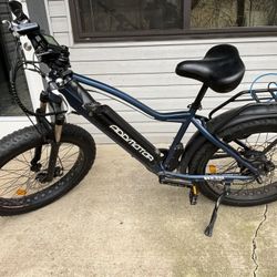 Fat Tire Electric Bicycle, M-550 By Addmotor