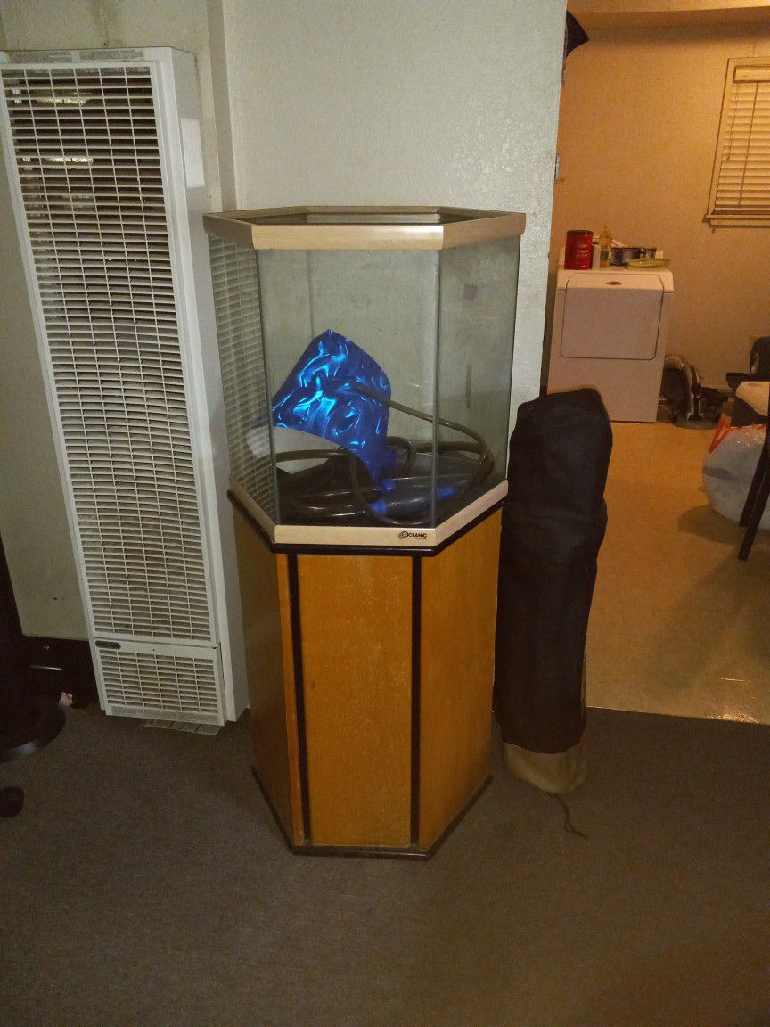 55 Inch Octagon Fish Tank And Stand And African Convict Cichlids Babies And Adults