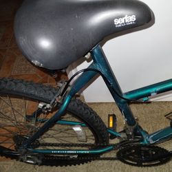Bicycle And A 80cc Gas Engine 