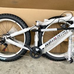 Brand New Bike Fat 