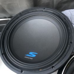 12 Inch Type S Subwoofer Dual Coil