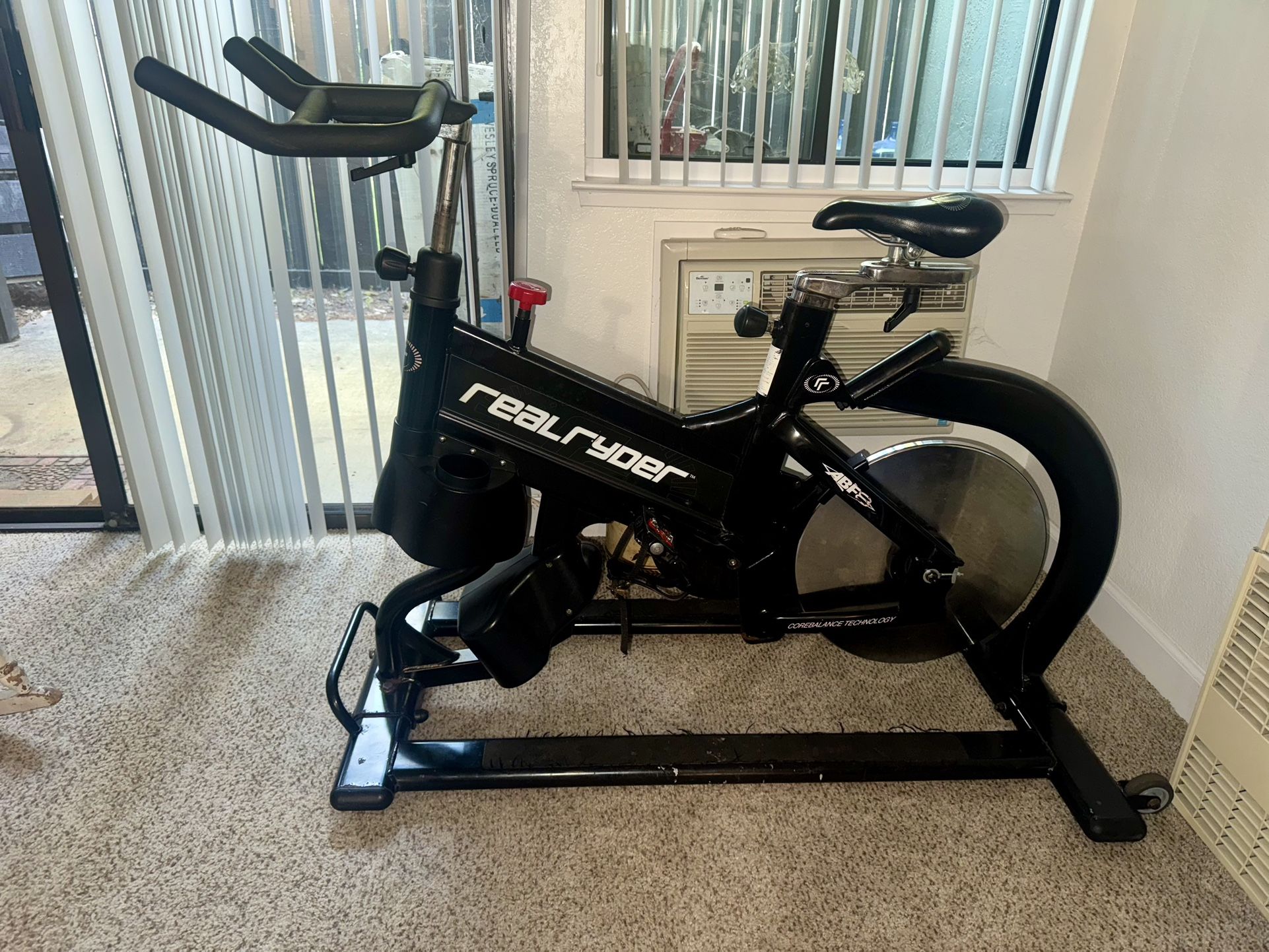 Real Ryder Exercise Bike