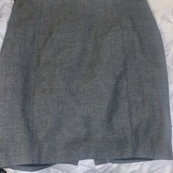 Express Pencil Skirt