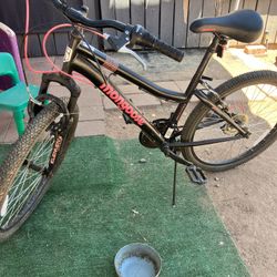 24 In mongoose Girls Bike 