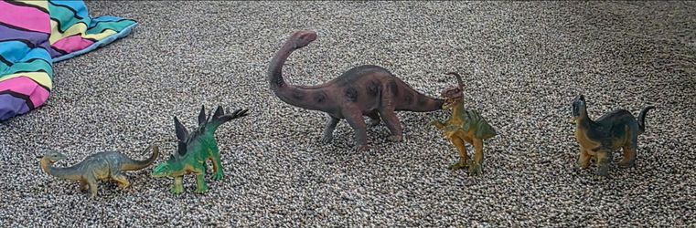 Dinosaurios All For $5