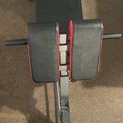 Weight Bench