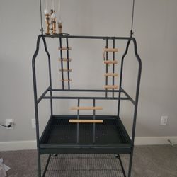 Bird Play Stand