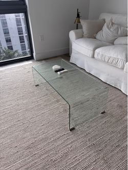 Coffee table $80 + Rug (6x9)$70