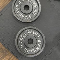 25lb Pair Of Plates