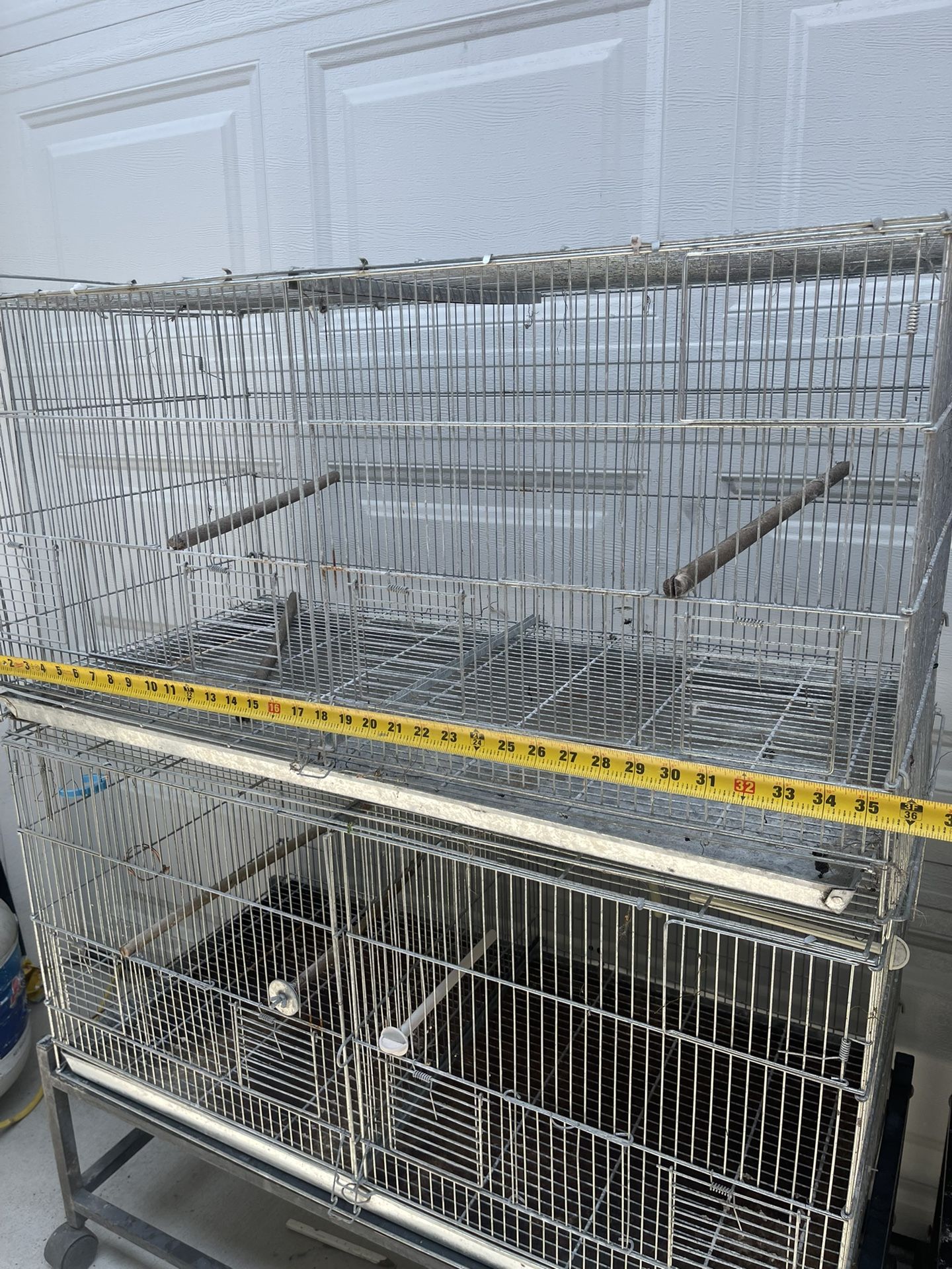 Bird Cage
