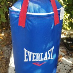 Heavy Bag With Home Made Mount 
