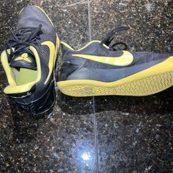 Kobe “Oregon”, Jordan 12 “Royal blue”, Jordan 6 Rings